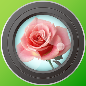 FlowerNote logo