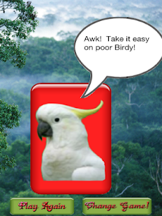 Birdy Brain Screenshots 1