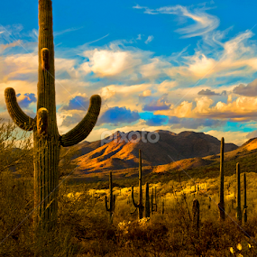 Late Afternoon at Gates Pass by Scott Taft - Digital Art Places