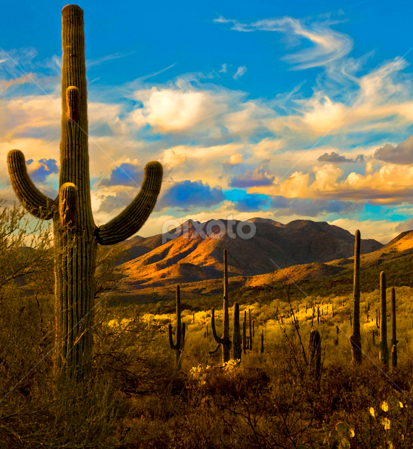 Late Afternoon at Gates Pass by Scott Taft - Digital Art Places