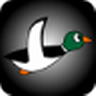Duck Hunt icon