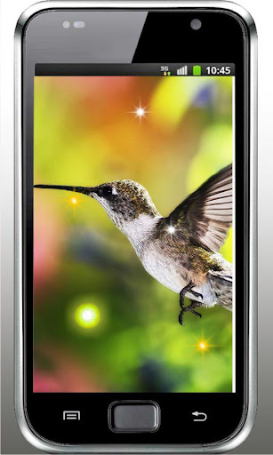 Colibri Sounds live wallpaper