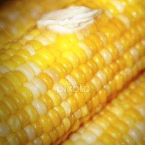 Peaches and Cream  by Judee Schofield - Food & Drink Fruits & Vegetables