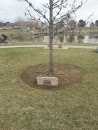 Hazel Ann Gertsch Tree Memorial