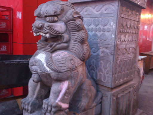 上海路龙街狮子