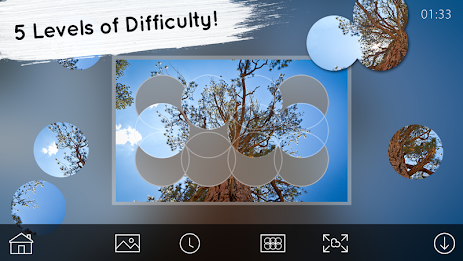 Venn Trees: Circle Jigsaw poster 2