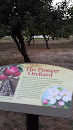 Pioneer Orchard