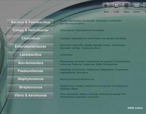 Bacterial identification