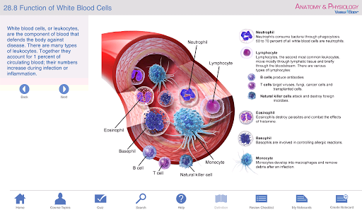 【免費醫療App】Anatomy & Physiology-APP點子