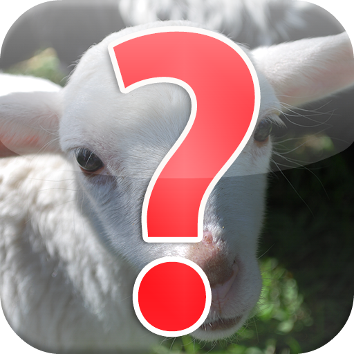 Sheep or Goat Cat or Dog LOGO-APP點子