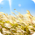 Natural Reed Live Wallpaper1.3.5