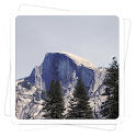 Aviary Effects: Woodland icon