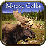 Cover Image of डाउनलोड Moose Hunting Calls 1.8 APK
