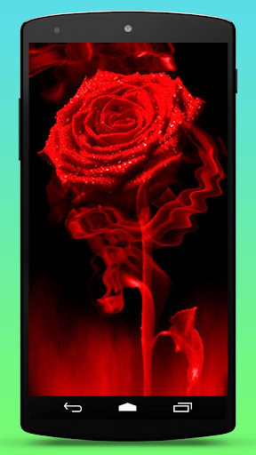 免費下載個人化APP|Red Rose Fire Live Wallpaper app開箱文|APP開箱王