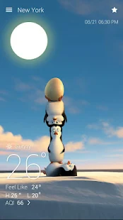Penguins Of MG Weather Live BG