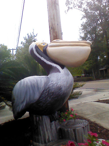 Rusty the Pelican