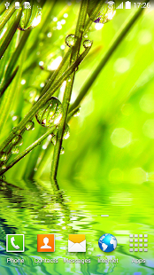 Macro Photos Live Wallpaper(圖3)-速報App