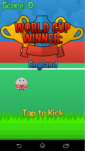 Flappy Cup Winner England