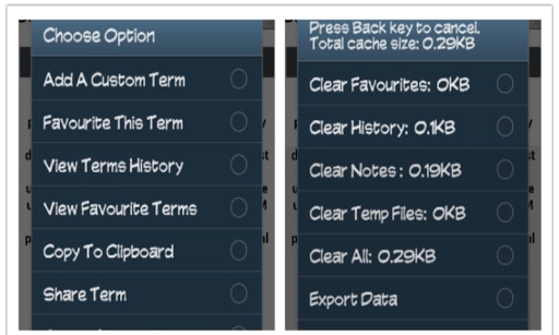 Golden Computer Dictionary