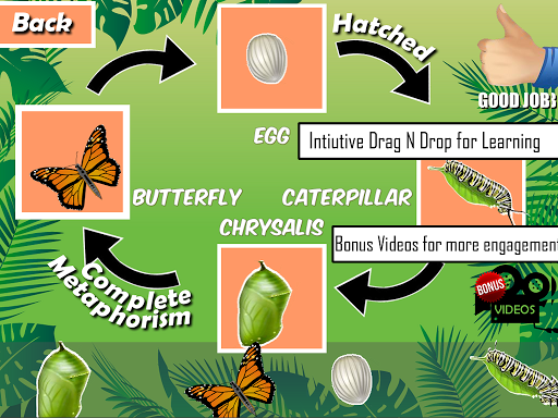 【免費教育App】Insects Life Cycle Free-APP點子