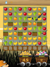 Gemstone Jamboree poster 15