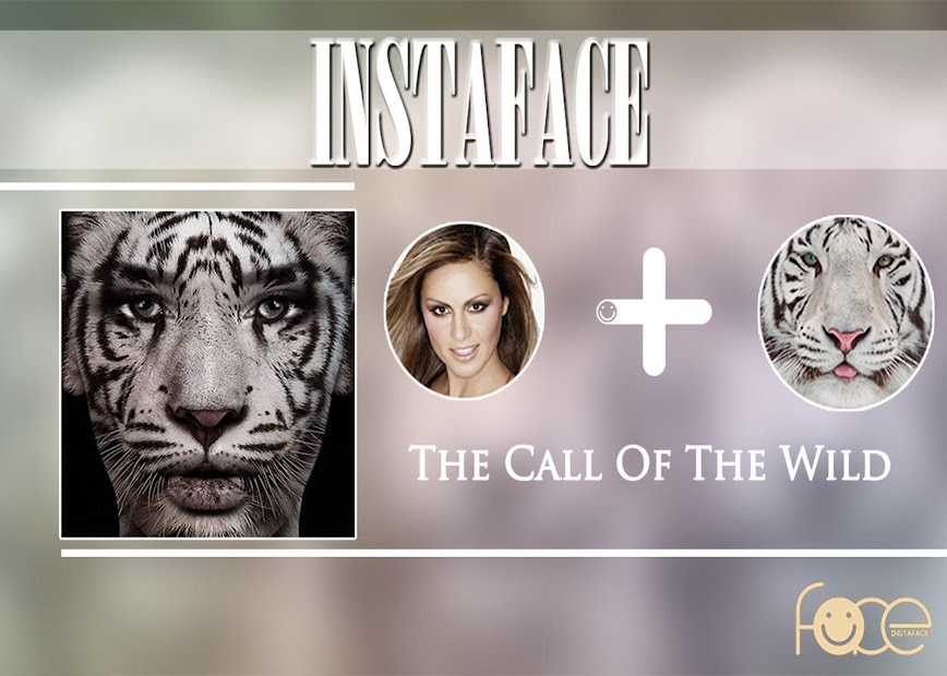 face morph app video