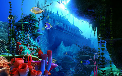 【免費個人化App】Coral Reef live wallpaper-APP點子