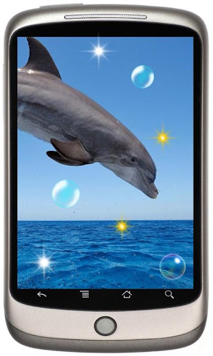 Dolphine Screen live wallpaper