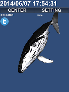 育成Whaleくじらちゃん！！