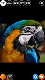 Tile Puzzle: Birds poster 8