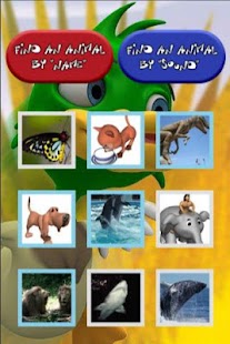 Kids Zoo - 3D Animated Animals