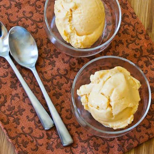 10 Best Fat Free Sugar Free Frozen Yogurt Recipes