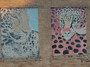 Cheetah Murals