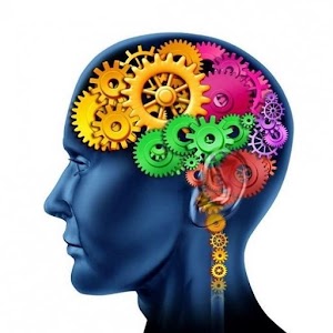 Психология лжи.apk 1.0