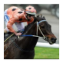 Black Caviar Fan App logo