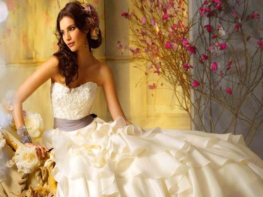 Wedding gown dress up