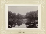 Gezicht op het Plantsoen en de singel bij avond, Leiden