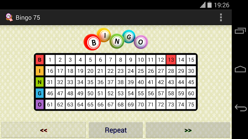 Bingo 75 Screen 2