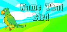 Name That Bird APK