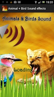 How to mod Animal + Bird Sound Effects 1.6 mod apk for android