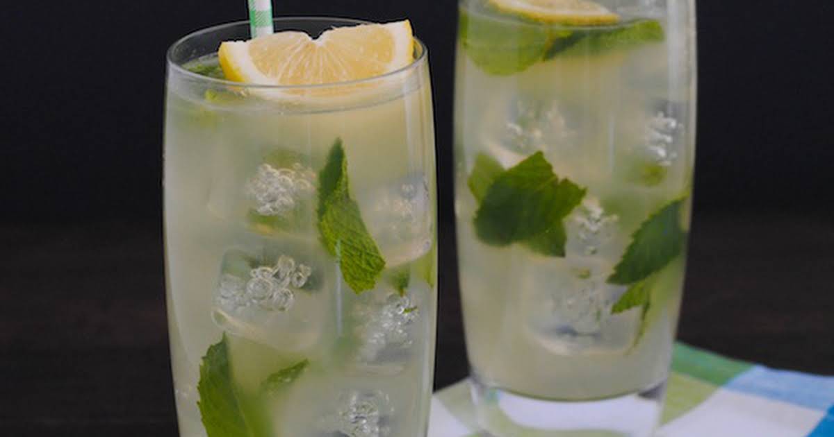 10 Best Mint Honey Lemon Drink Recipes