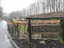 Rosenhain