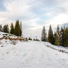 Transalpina by Ursu Florin - Landscapes Mountains & Hills