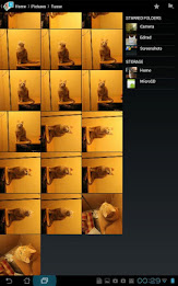 DL Image Manager poster 6