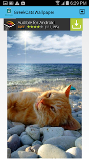 Lastest Greek Cats Pictures Wallpaper APK