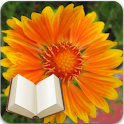 Santa Cruz Flowers + Bible logo