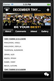 US KARATE ACADEMY poster 2