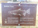 Rainbow Trout Sign