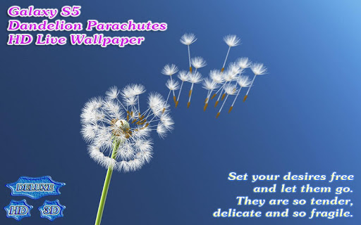 【免費個人化App】Galaxy S5 Dandelion Parachutes-APP點子