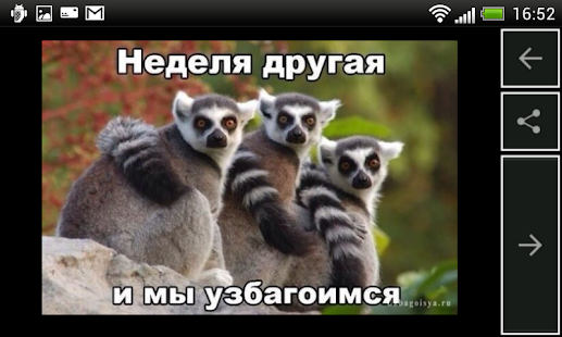 Узбагойся(圖4)-速報App